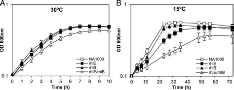 Growth Of C Crescentus RNA Helicase Mutant Strains At Low Temperature