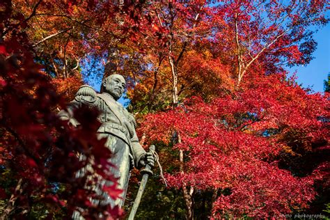 東郷公園 秩父御嶽神社 写真日和