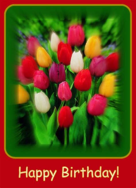 Happy Birthday Colorful Tulips Wish Birthday Birthday Wishes