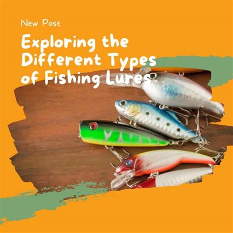 Exploring The Different Types Of Fishing Lures