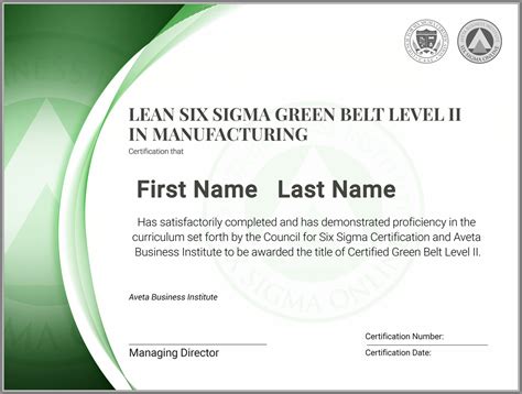 Certification Lean Six Sigma Black Belt