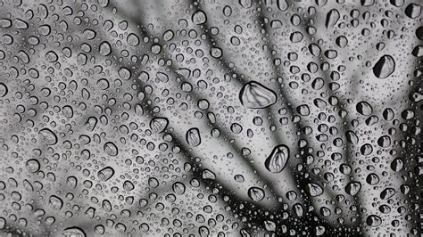 Wallpaper Drops Macro Bw Moisture Rain Hd Picture Image