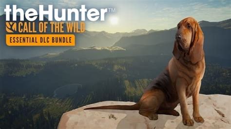 theHunter: Call of the Wild™ - Essentials DLC Bundle Price