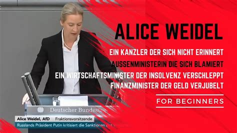 Komplettes Regierungsversagen Alice Weidel fährt mit der Ampel