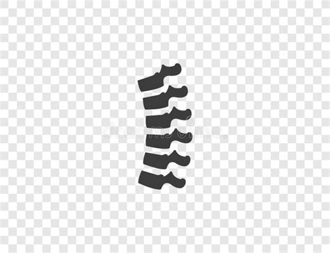 Anatomy Backbone Spine Icon Simple Line Outline Vector Orthopedics