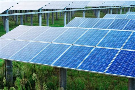 Cos L Agrivoltaico Come Funziona E Quali Sono I Benefici Ohga