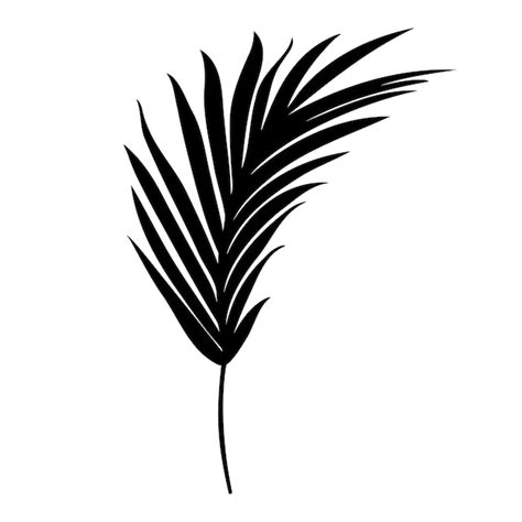 Premium Vector Palm Tree Leaf Silhouette Vector Illustration