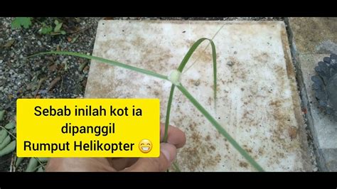 Rumput Helikopter Helicopter Grass Youtube