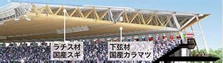 The Japan National Stadium Roof Design Analysis