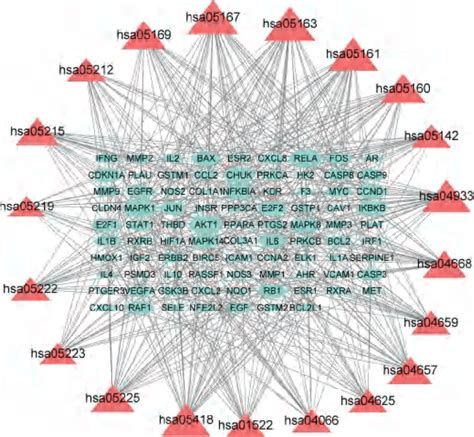 Gene Pathway Network Of Hq Against Crc Topological Analysis Of