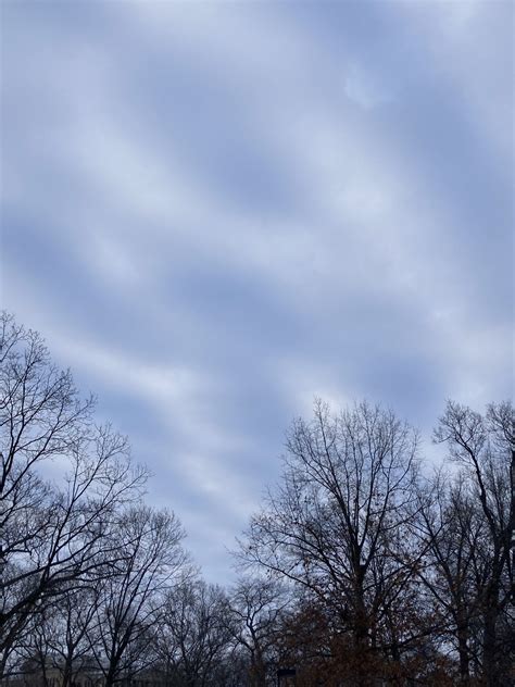 Cloudy Skies And Mild Wind Cardinal Weather Service