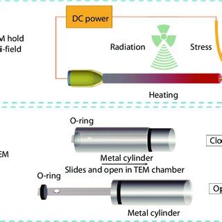 Challenges And Their Potential Solutions On Open Cell In Situ Tem For