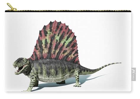 Dimetrodon Artwork Zip Pouch By Leonello Calvetti