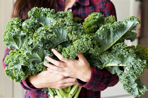 Kale Il Nuovo Superfood E I Diversi Modi Per Cucinarlo