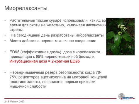 KAZ-German Society. Миорелаксанты, релаксометрия - презентация онлайн