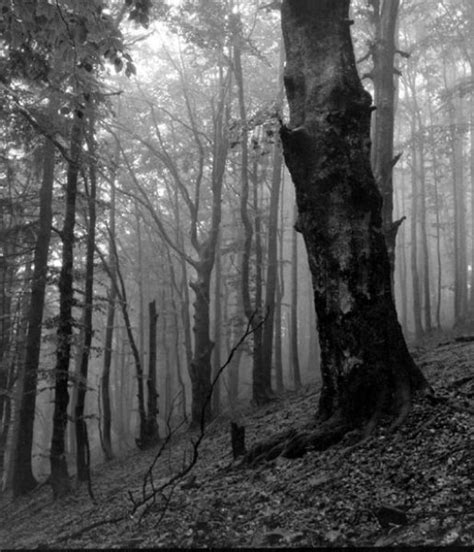 Jock Sturges Jock Sturges Sara Northern California Silver My Xxx Hot Girl