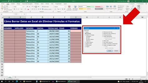 Cómo Borrar Datos en Excel sin Eliminar Fórmulas ni Formatos YouTube