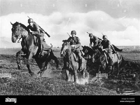 Second World War Horses Used By German Troops Stock Photo Alamy