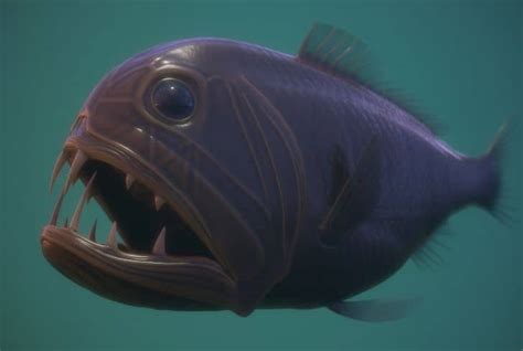 13 Types of Fish With Big Teeth (With Pictures) | Earth Eclipse