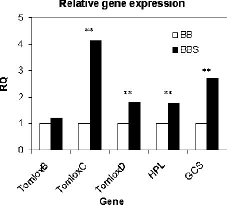 Relative Gene Expression By Real Time Pcr Of Genes Involved In Indirect