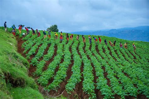 Getting to 2050 — Sustainably Feeding 9.8 Billion People - IFDC