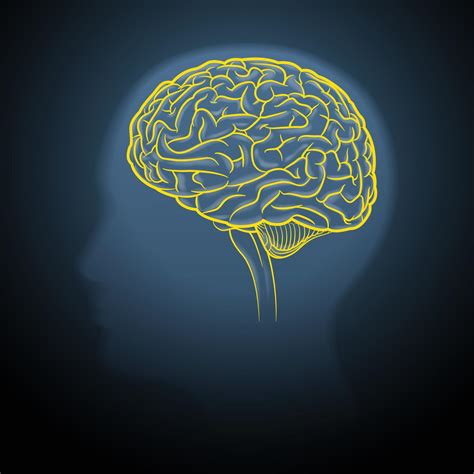 Yellow Brain Strokes On A Dark Gray Background 4440045 Vector Art At