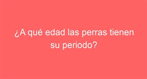 ¿a Qué Edad Las Perras Tienen Su Periodo ¡descubre El Ciclo