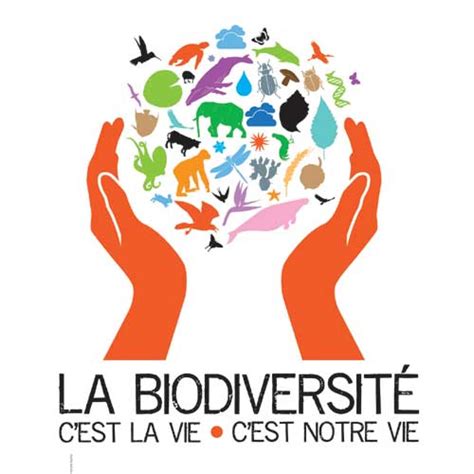 Lab 71 La biodiversité c est la vie c est notre vie