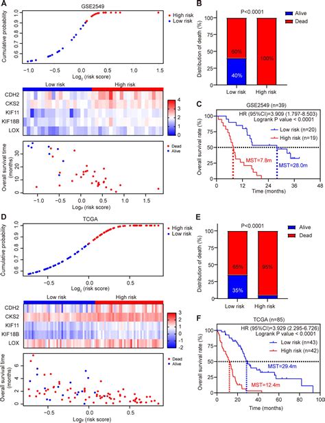 Frontiers Identification Of A Five Gene Signature For Predicting