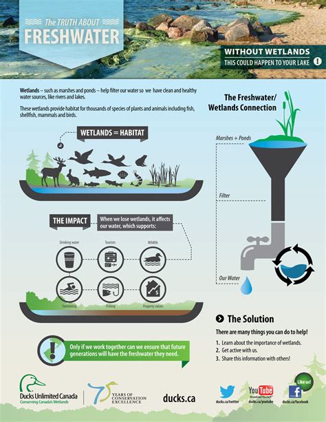 Science Wetlands Web Links