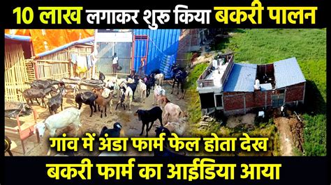 गव म 10 लख लगकर शर कय Desi Bakri Farm8 लख क Goat Shed और