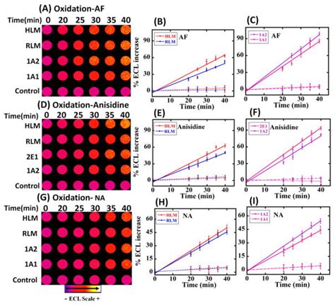 Evaluating Metabolite Related Dna Oxidation And Adduct Damage From Aryl