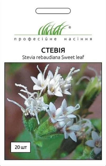 Семена Стевия, 20 шт (Hem Zaden) – фото, отзывы, характеристики в ...