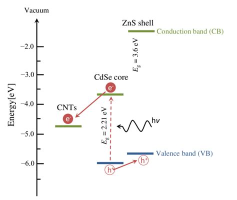 Structure Schematic And Energy Band Diagram Of Cdse Zns Core Shell