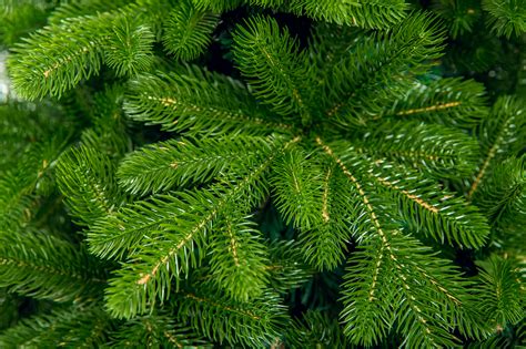 Купить ель искусственная "сказочная" 210 см. в интернет-магазине Elka1.