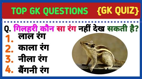 गिलहरी कौन सा रंग नहीं देख सकती है। Gk Question Gk In Hindi Gk