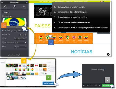 Observatorio Regional Amaz Nico Elementor Actualizaci N De Iconos