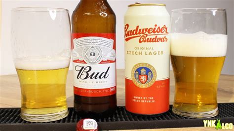 Какой Budweiser лучше Американский, или Чешский? - YouTube