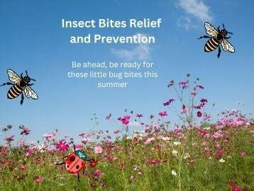 Insect Bites Relief and Prevention