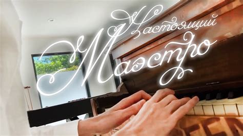 МАЭСТРО ИГРАЕТ НА ФОРТЕПИАНО 🎹 - YouTube
