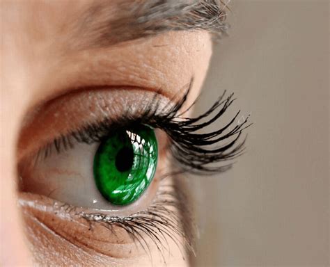 People Whose Eyes Have A Dark Ring Around The Iris Appear More Attractive, Study Says