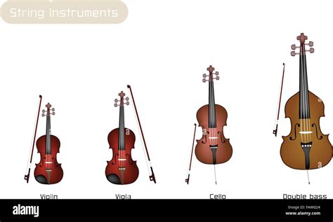 Una Illustrazione Raccolta Di Belle Strumento Musicale Stringa Violino