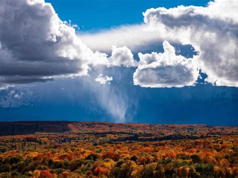 Scenic Cloudscape With Fluffy Cumulus Clouds Premium Ai Generated Image