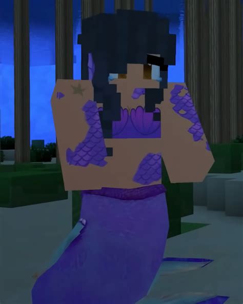 What Mods Does Aphmau Use Lefodx