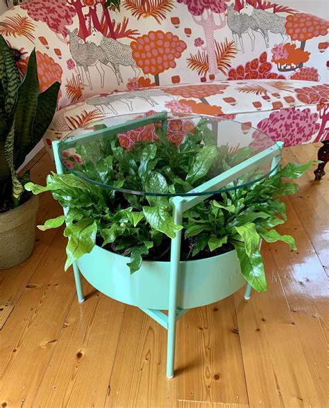 Coffee Table Plant Decor at Beverly Marone blog