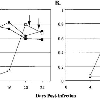 Selection Of ALV A Variants Resistant To Quail STva MIgG Receptor