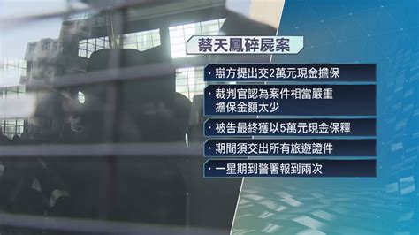 【蔡天鳳碎屍案】涉助死者前夫潛逃 男子准以5萬元保釋 Now 新聞