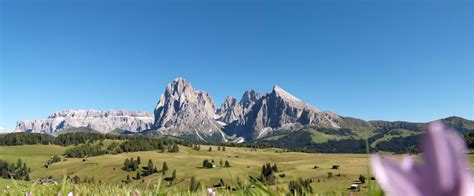 Vacanze Estive Trentino Alto Adige Dolomiti Alpe Di Siusi