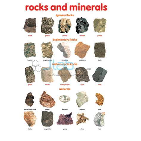 Rocks and Minerals Chart India, Manufacturers, Suppliers & Exporters in ...