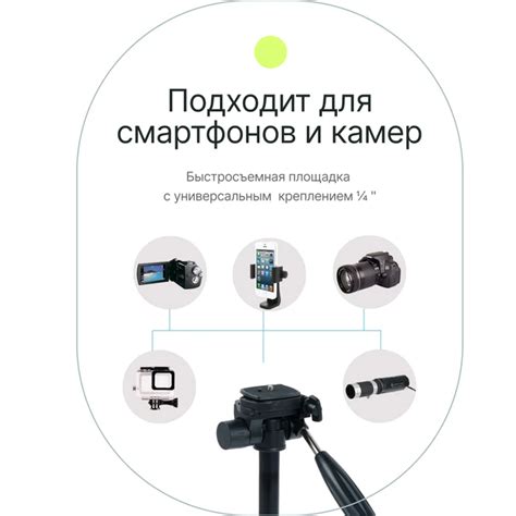 Raylab Travel 67 штатив алюминиевый сплав с головой – купить в Москве ...